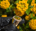 Gold and Diamond Signet Ring